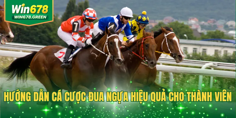 Hướng dẫn cá cược đua ngựa hiệu quả cho thành viên